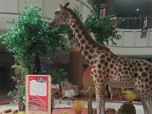 太原做动物展：短期展出还是长期陈列我帮你把账算清楚