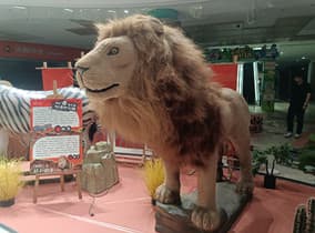 兰州一场非洲动物展的预算里，运输占多少