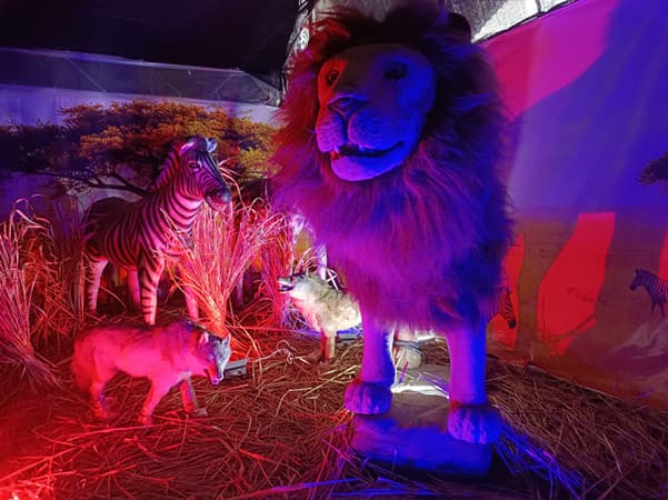沈阳冬天遛娃去哪儿：一场非洲动物展的室内玩法
