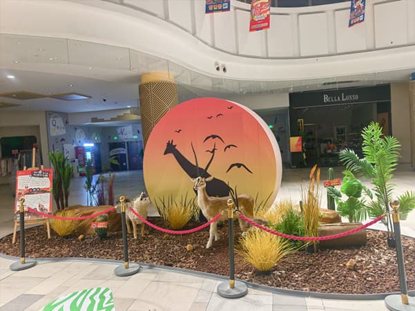 深圳做动物展：展品成色和补件，内行人不会告诉你的坑